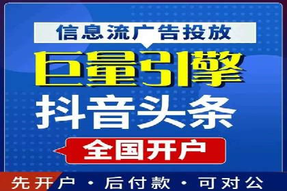 专业SEM服务公司案例分析报告